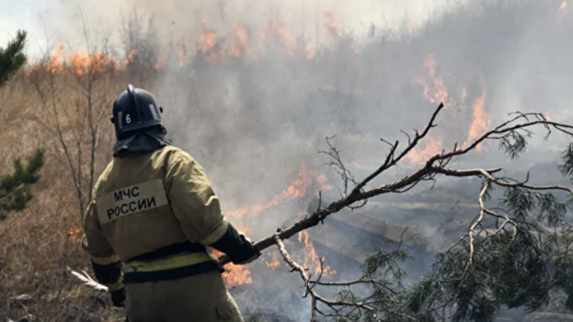 Лесопожарные службы потушили в России 103 пожара за сутки