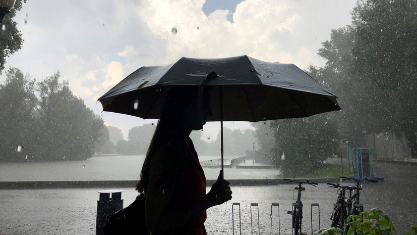 Вильфанд: нынешнее лето в Москве может стать самым дождливым в истории