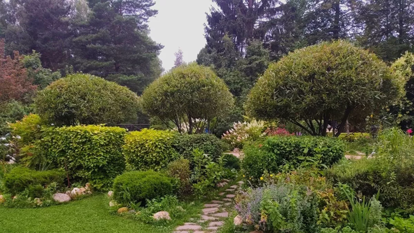 Ландшафтный дизайнер из Подмосковья рассказал о работе во время пандемии