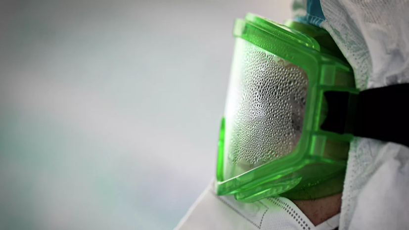 Роспотребнадзор сообщил об отсутствии случаев чумы в России в 2020 году