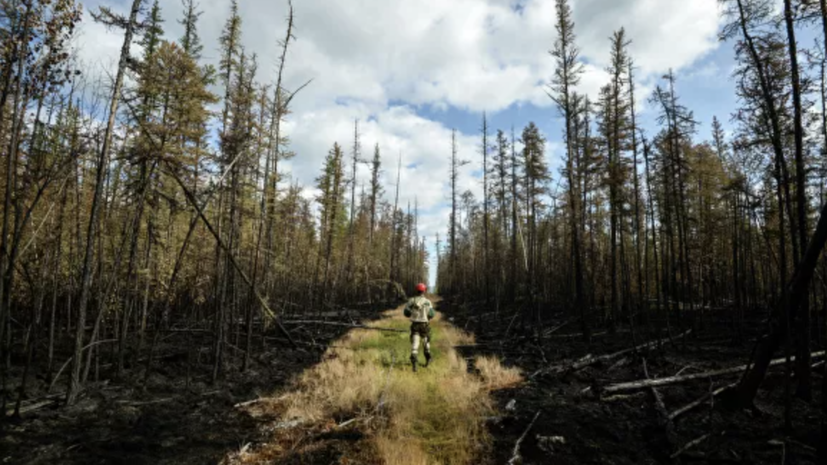 В России потушили 65 природных пожаров за сутки