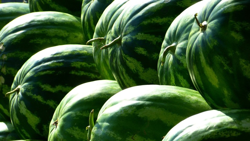 Диетолог оценила возможный вред от чрезмерного употребления арбузов