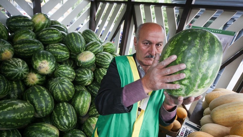 В Москве откроются бахчевые развалы
