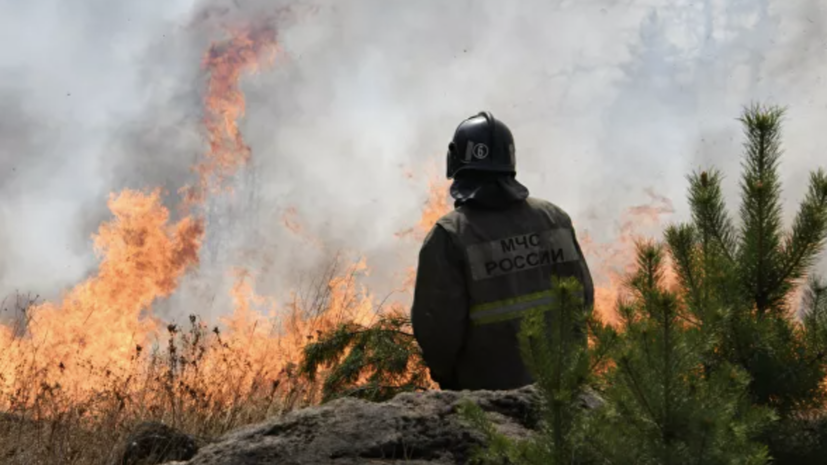 В России потушили 35 лесных пожаров за сутки