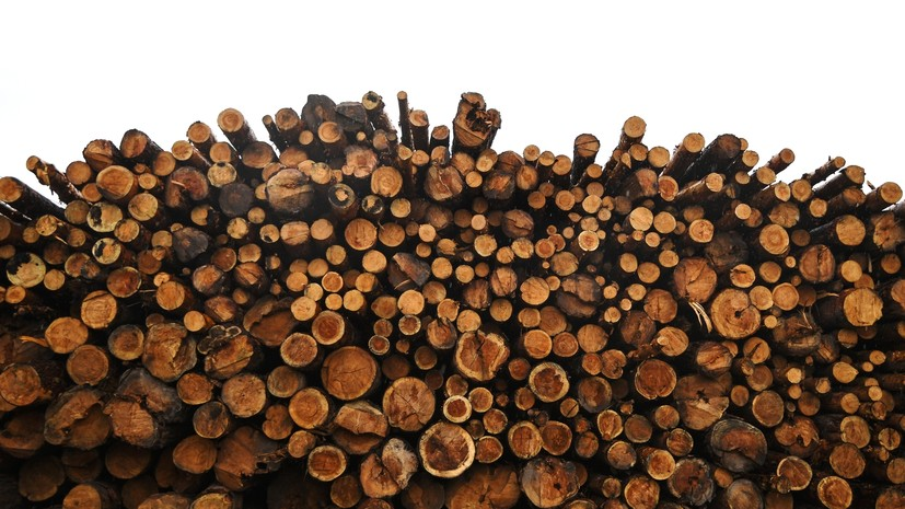 В Томской области возбуждено дело по факту контрабанды леса более чем на 1 млн рублей