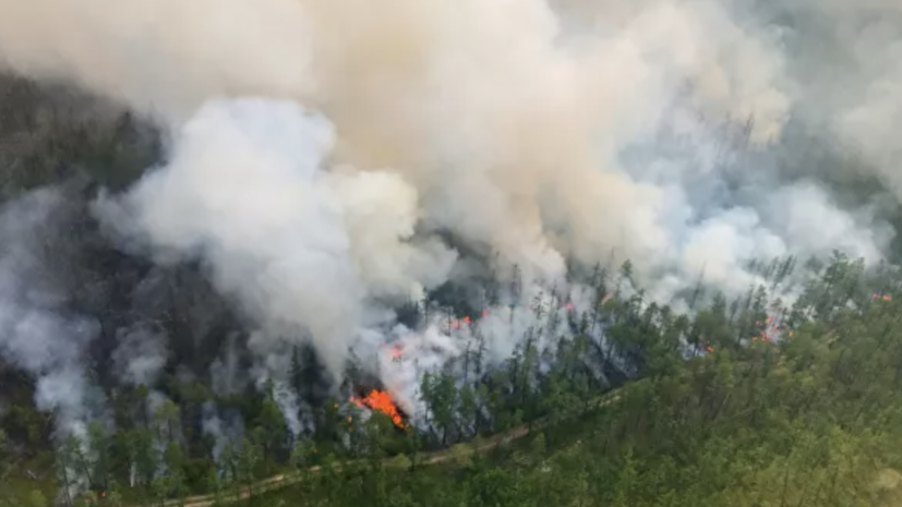 В России ликвидировали 48 лесных пожаров за сутки
