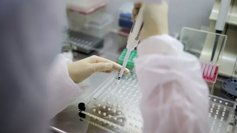 В России проведено более 29,2 млн тестов на коронавирус