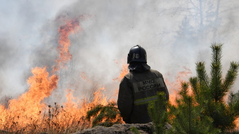 В России ликвидировали 49 лесных пожаров за сутки