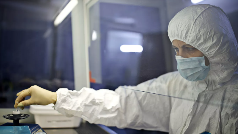 Более 31,5 млн тестов на коронавирус проведено в России