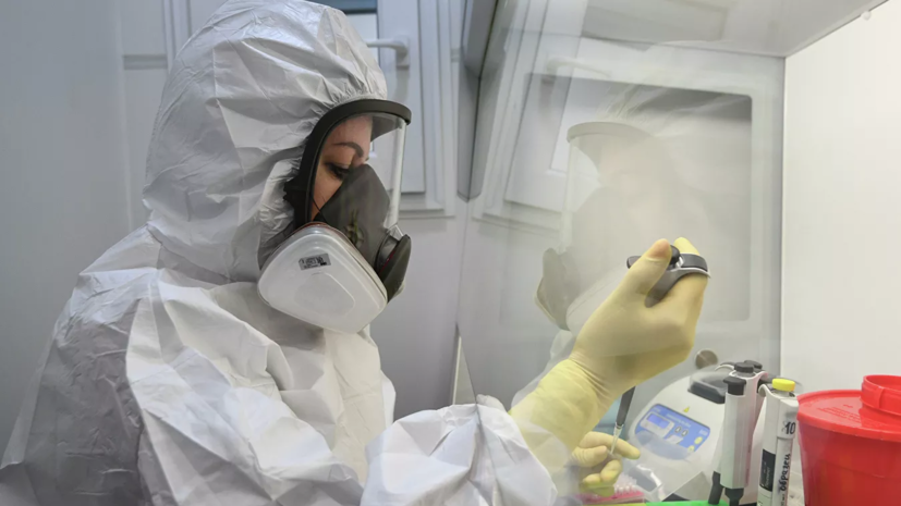 В России за сутки выявлено 4892 новых случая коронавируса