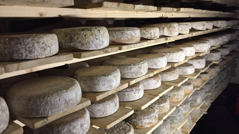 В Подмосковье стартует фестиваль «Сыр! Пир! Мир!»