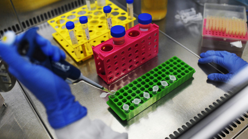 В Петербурге за сутки проведено более 15 тысяч тестов на COVID-19