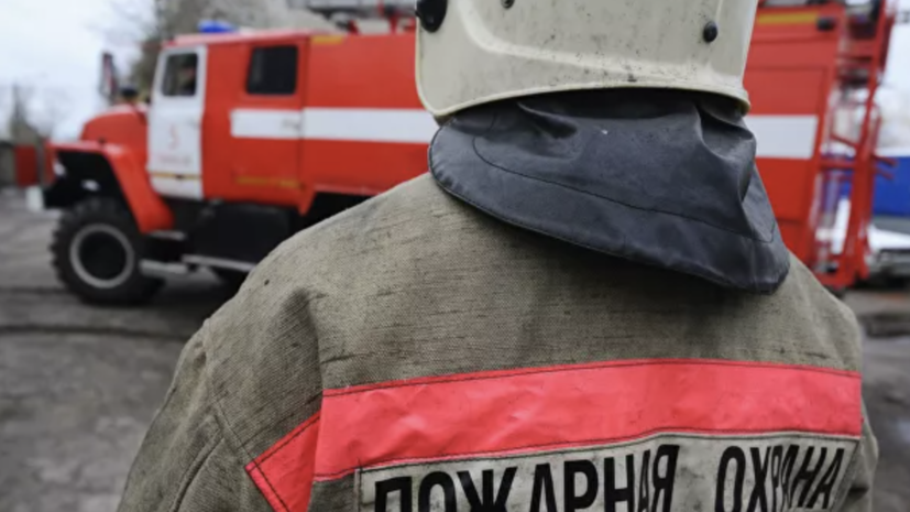 Лесопожарные службы потушили в России 18 природных пожаров за сутки