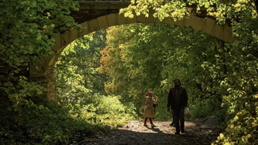 В Подмосковье прокомментировали идею создания общественных советов при парках