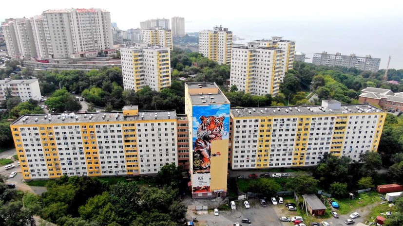 Во Владивостоке завершилась работа над самым большим изображением тигра