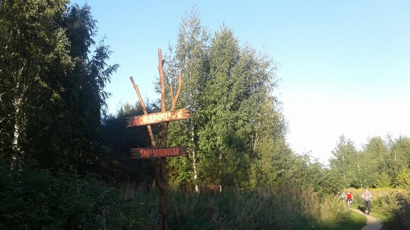 Ярушкинский дендропарк в Удмуртии сделают особо охраняемой территорией