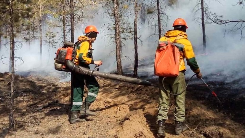 Режим ЧС из-за пожаров расширили на весь район в Ростовской области