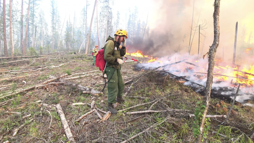 В Харьковской области объявили ЧС из-за лесных пожаров
