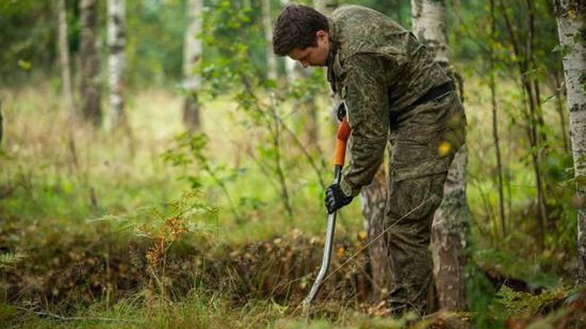 В Тверской области нашли останки 82 красноармейцев