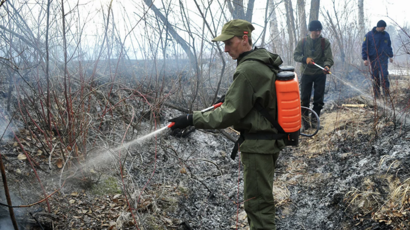 В России за сутки потушено 22 природных пожара
