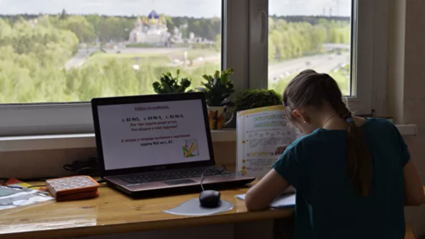 В Минпросвещения рассказали о числе школьников на семейном обучении