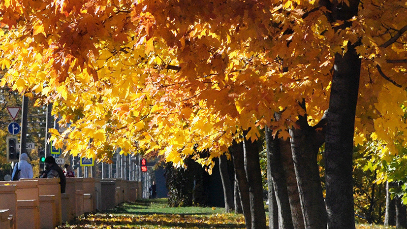 Метеоролог рассказала, как одеваться в сентябре в Москве