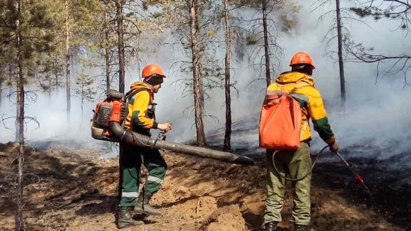 Лесопожарные службы потушили в России 14 природных пожаров за сутки
