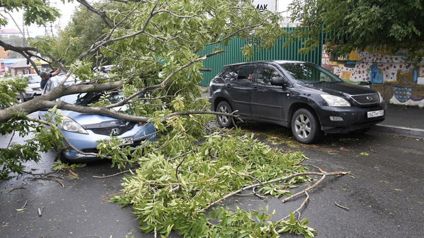 В Москве сильный ветер повредил 10 автомобилей