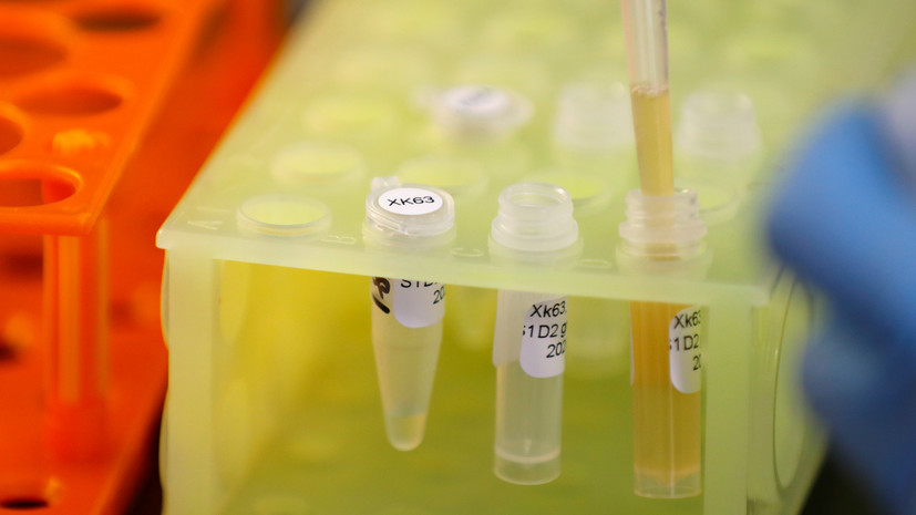 В Петербурге провели более 23 тысяч тестов на COVID-19 за сутки