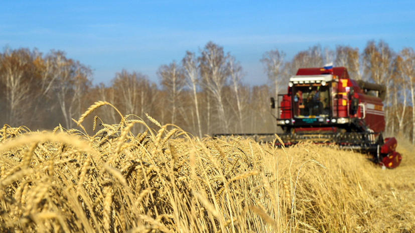 Сельхозпредприятия Удмуртии получили 1,7 млрд рублей субсидий с начала года