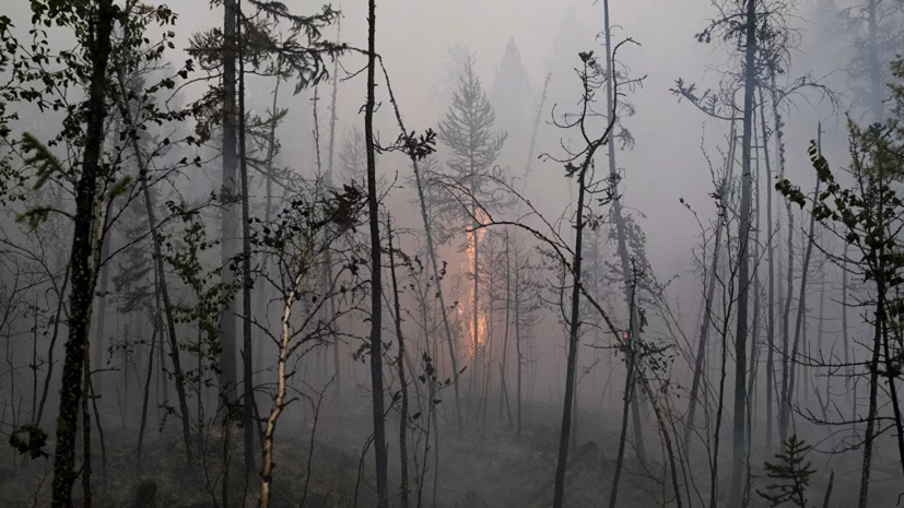 В Удмуртии отменили противопожарный режим в лесах