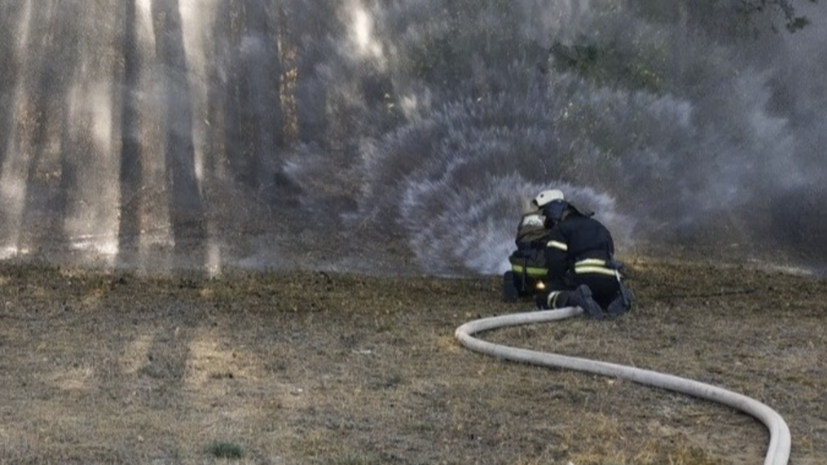Крупный природный пожар в Воронежской области потушен