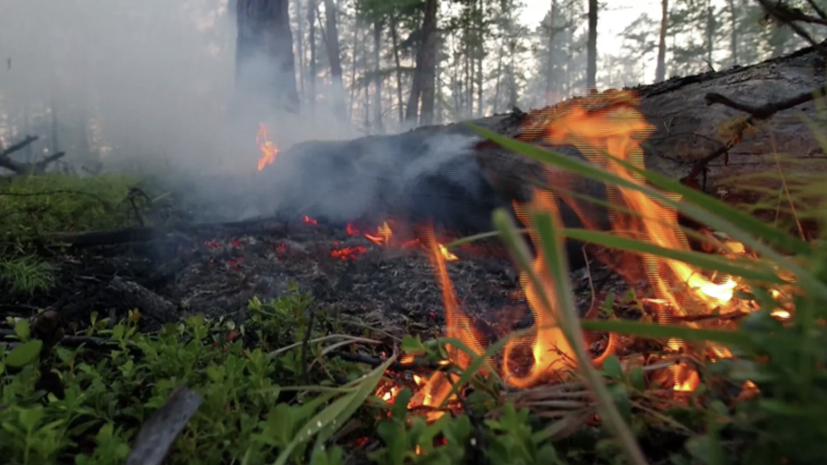 Около 200 административных дел возбуждено в Якутии из-за лесных пожаров