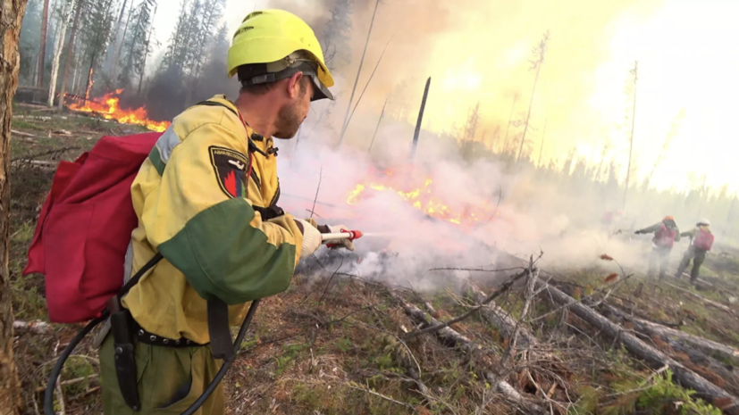 В Воронежской области ликвидирован крупный природный пожар