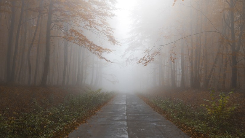 В Удмуртии ожидается сильный туман