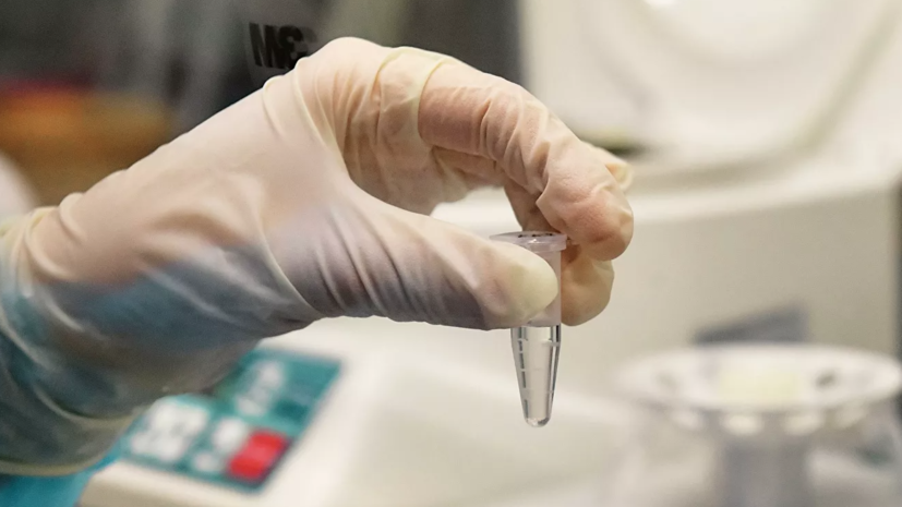 В Петербурге рассказали о тестировании горожан на COVID-19