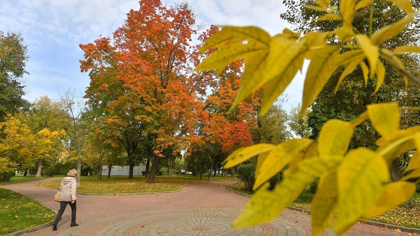 В Москве 9 октября ожидается до +15 °С