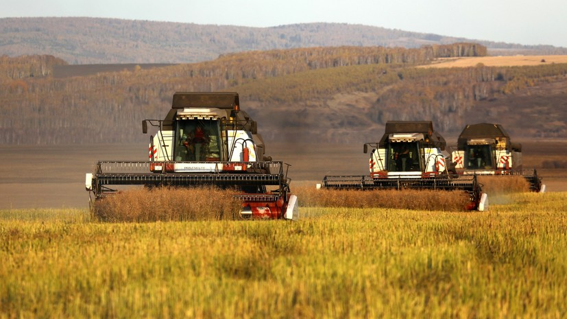 В Оренбургской области экспорт продукции АПК вырос на 21,4%