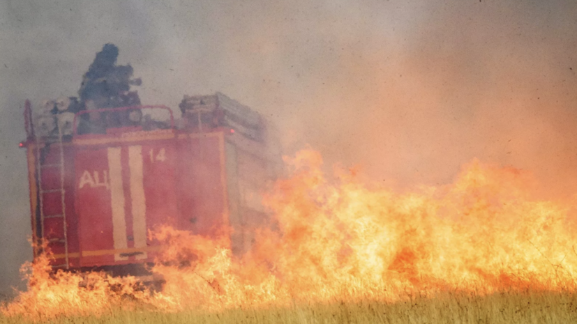 В России за сутки потушили 38 природных пожаров