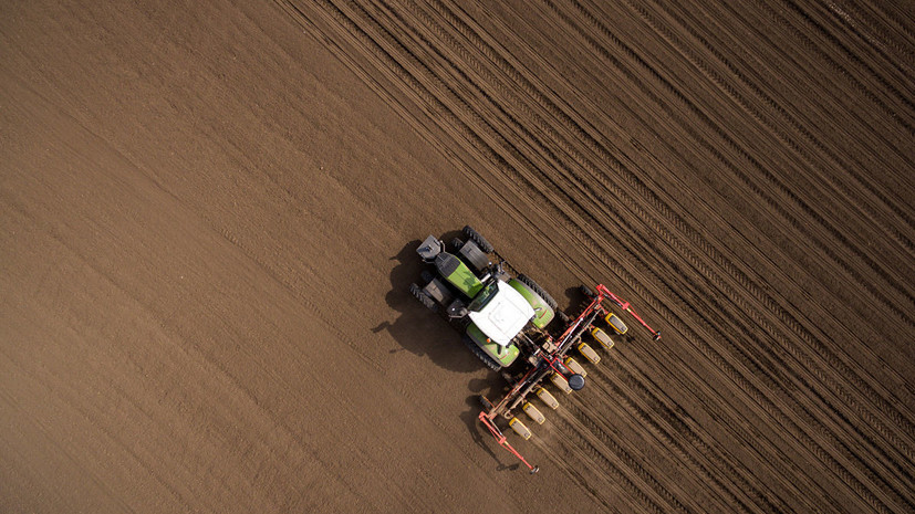 В Томской области сельхозкооперативы получат на поддержку и развитие 200 млн рублей