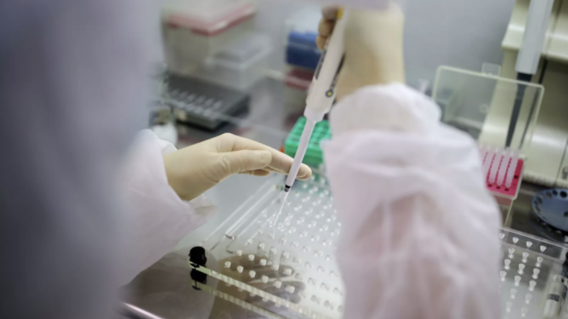 За сутки в России проведено 544 тысячи тестов на коронавирус