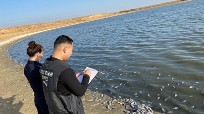 Бастрыкин поручил доложить о ходе дела о разливе нефтепродуктов в НАО