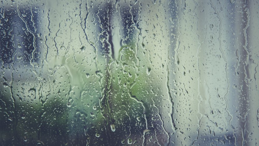 В Приморье синоптики предупредили о метелях, дождях и ветре