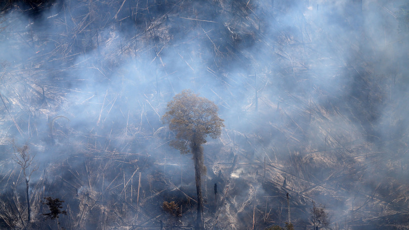 В Бразилии приостанавливают борьбу с лесными пожарами