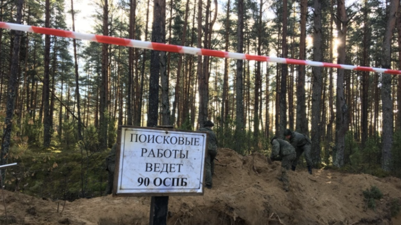 В Псковской области обнаружены останки убитых нацистами 188 человек