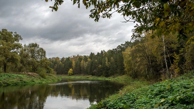 В посольстве Узбекистана прокомментировали сообщения о мальчике, проживающем в подмосковном лесу