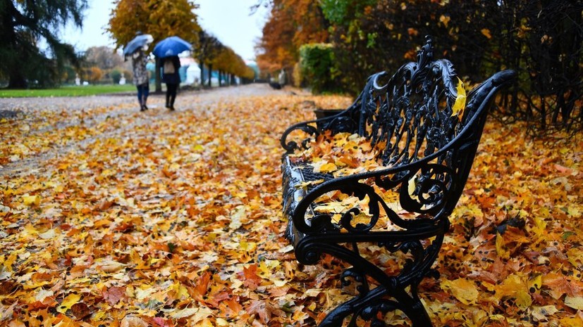 В Москве 31 октября ожидается до +9 °С