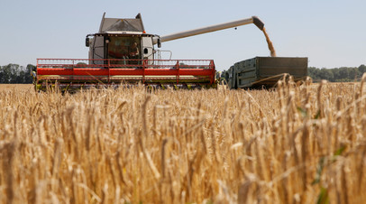 Уборка зерна в Киевской области