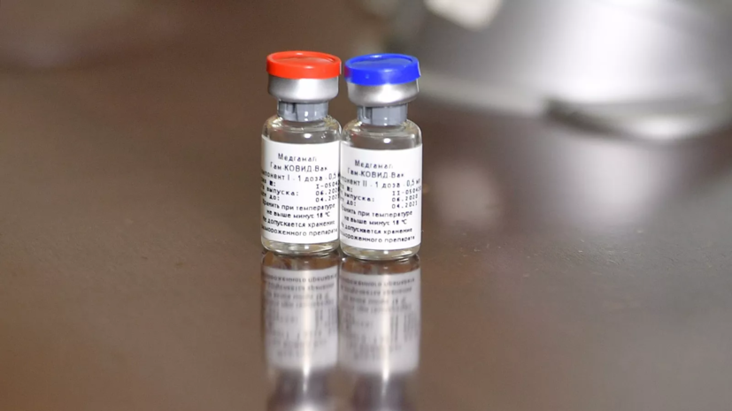 В Египте заявили о заинтересованности в вакцине «Спутник V»