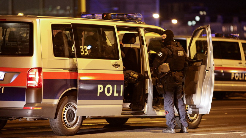 Глава МВД Австрии заявил, что участники атак в Вене хорошо вооружены